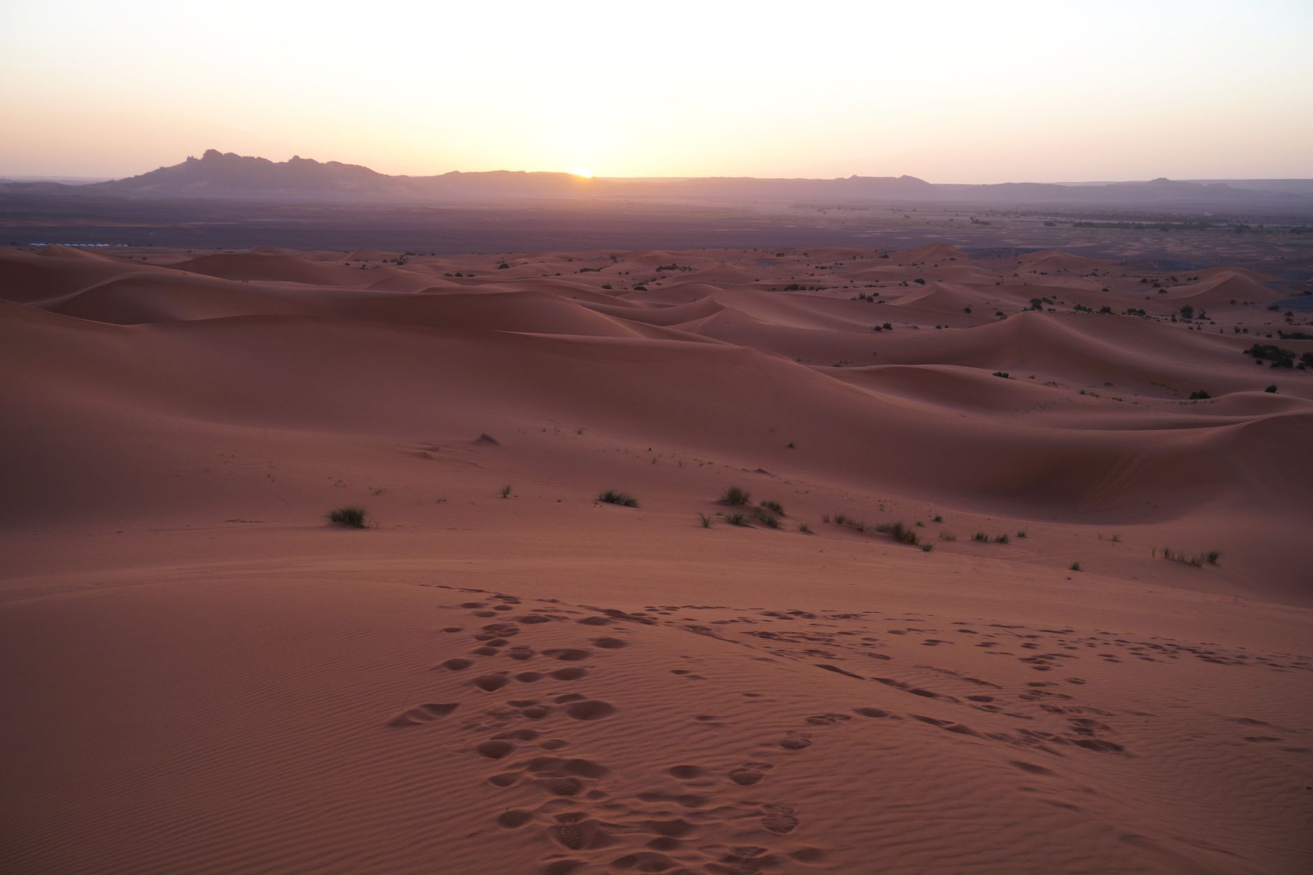 Rippled sand dunes lit by sunrise in the Moroccan Sahara